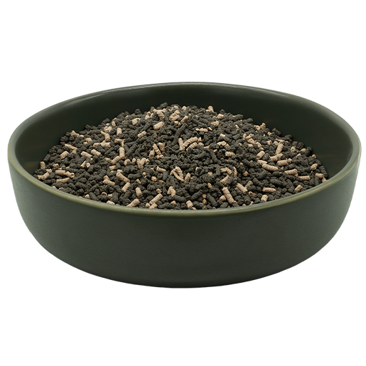 REiCO Darm Balance+