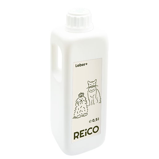 REiCO Leber+